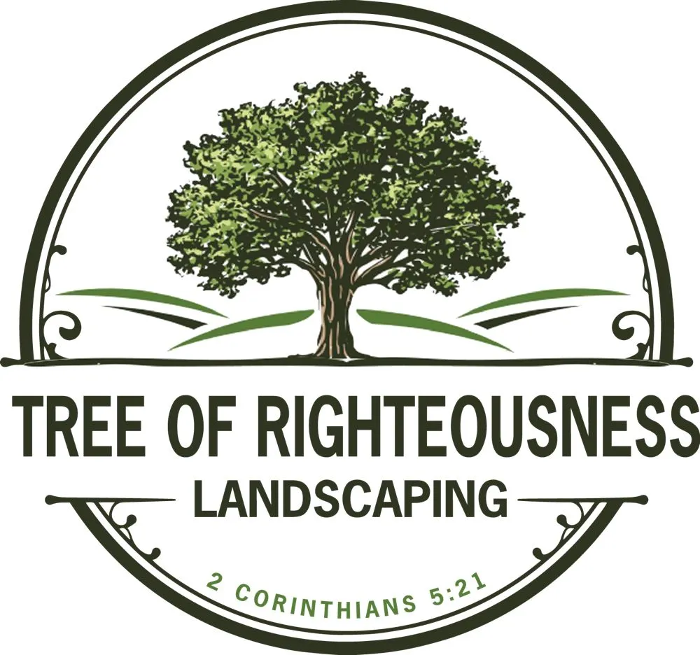 Affordable outdoor landscaping in Redding, CA by Tree of Righteousness
