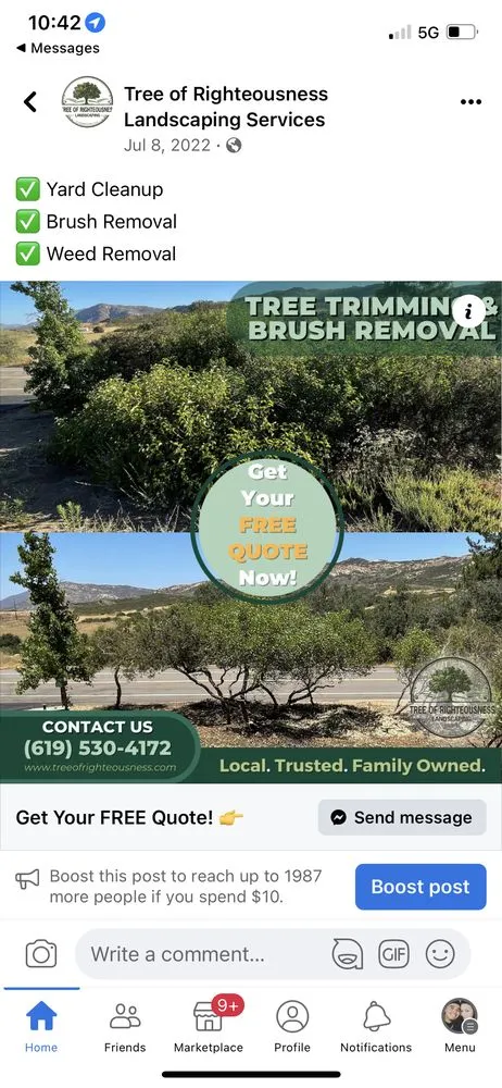 Trusted lawn care service experts serving Redding, CA - Tree of Righteousness