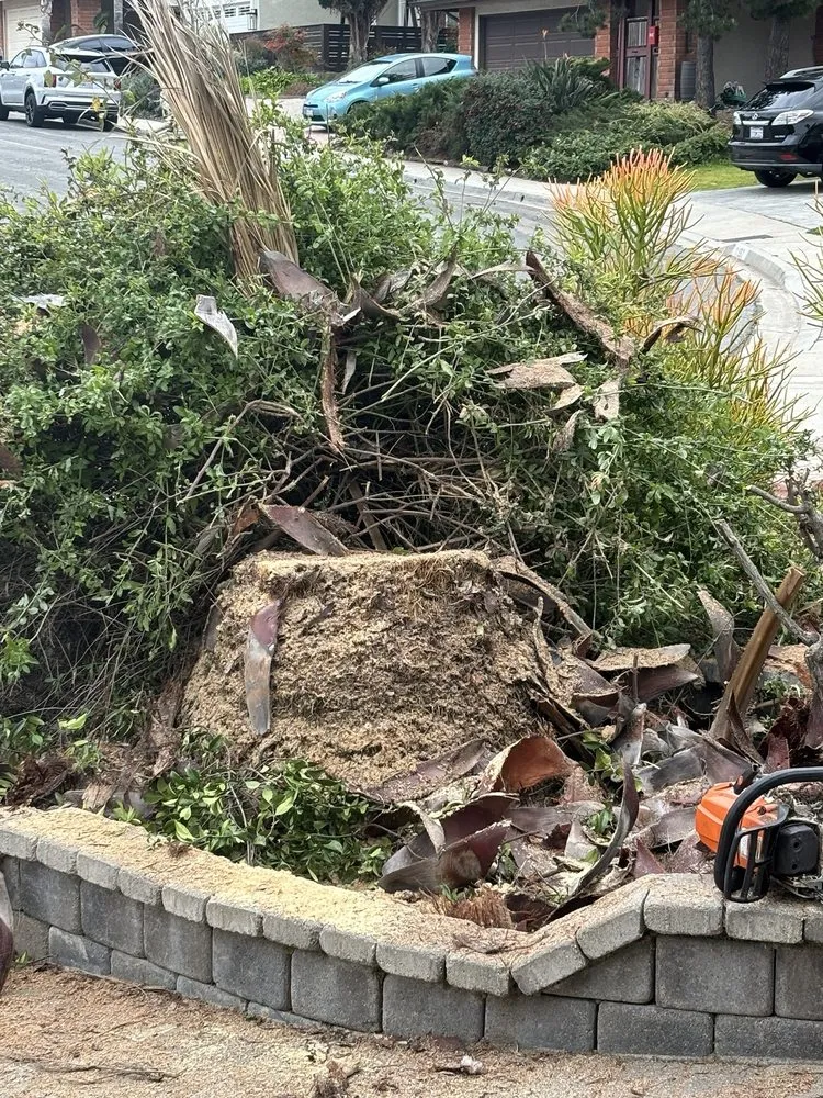 Custom lawn care service experts serving Redding, CA - Tree of Righteousness