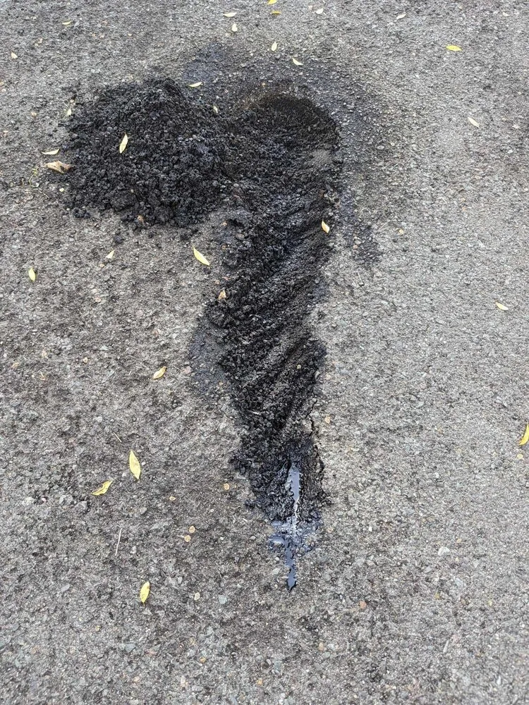 Professional landscape installation experts serving Redding, CA - Tree of Righteousness