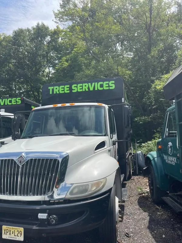 Affordable lawn care service experts serving Dover, NJ - Tree Paradise Services