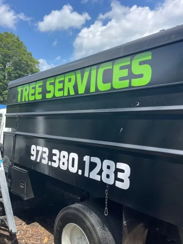 Local lawn care service in Dover, NJ - Tree Paradise Services