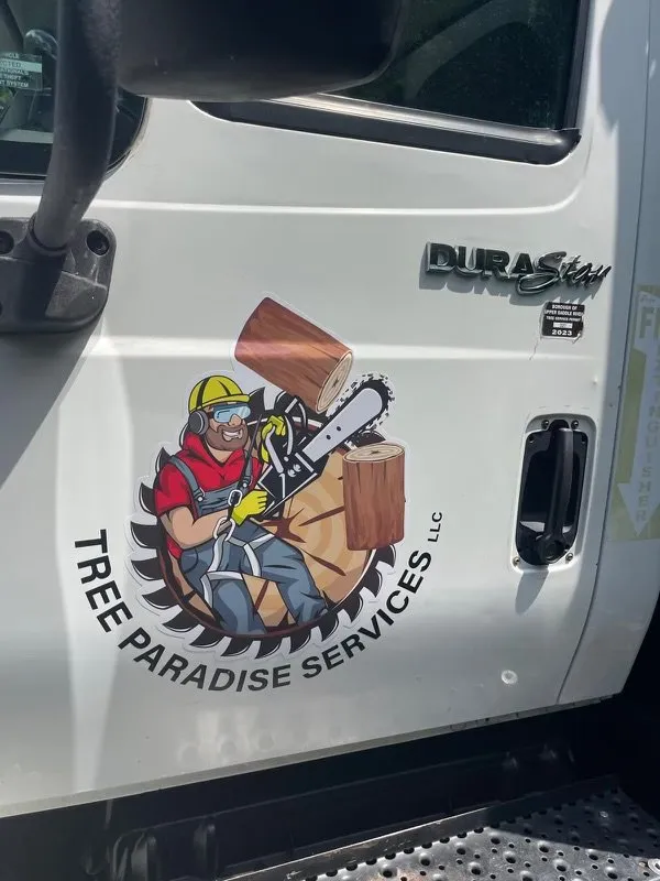 Custom yard maintenance in Dover, NJ by Tree Paradise Services