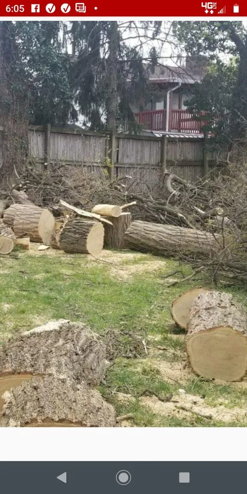 Local lawn mowing service experts serving Mount Airy, MD - Tree, Patio & Outdoor Services