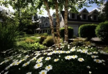Professional lawn care service in Mount Airy, MD by Tree, Patio & Outdoor Services