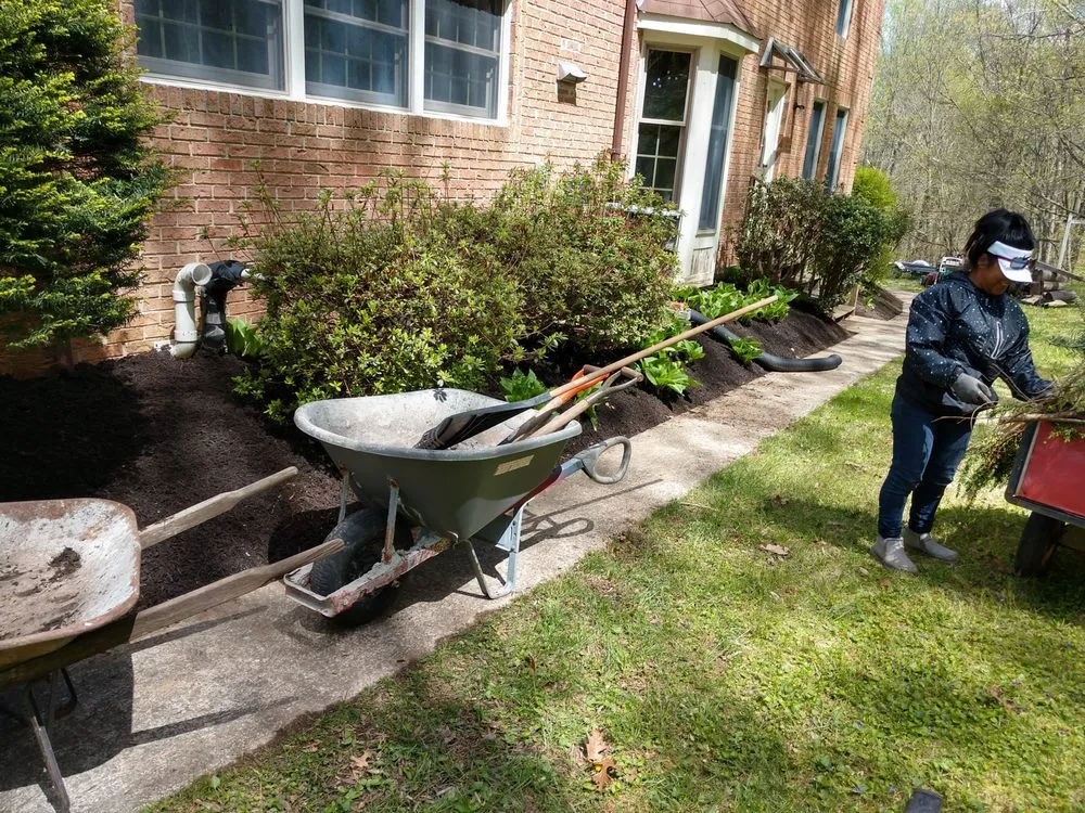 Local outdoor landscaping in Mount Airy, MD by Tree, Patio & Outdoor Services