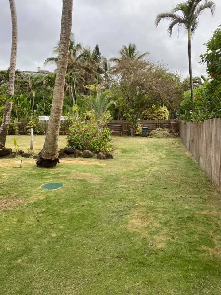 Affordable residential landscaping experts serving Kapaa, HI - Tree Patrol Landscaping