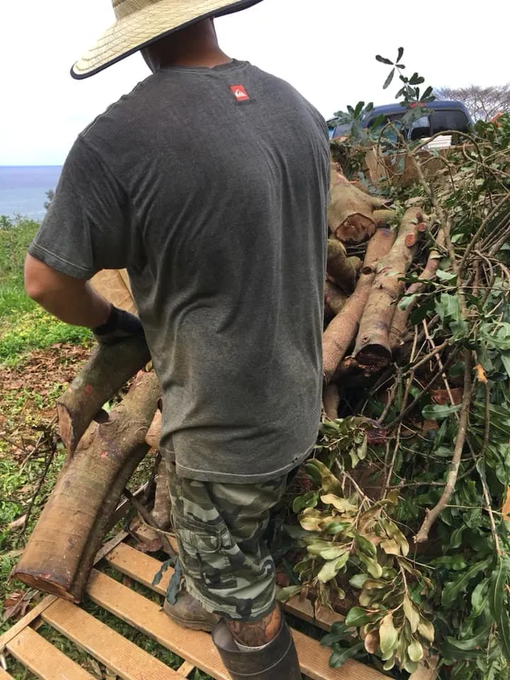 Top-rated yard cleanup service in Kapaa, HI - Tree Patrol Landscaping