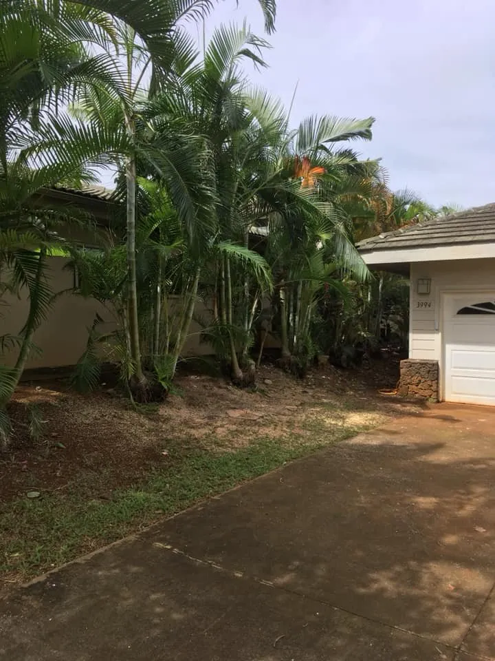 Professional garden landscaping experts serving Kapaa, HI - Tree Patrol Landscaping