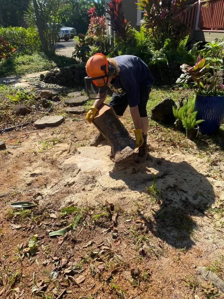Trusted yard cleanup service for year-round maintenance across Kapaa, HI - Tree Patrol Landscaping