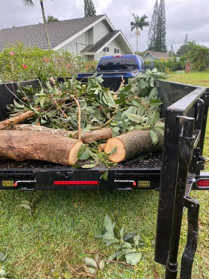 Top-rated lawn care service experts serving Kapaa, HI - Tree Patrol Landscaping