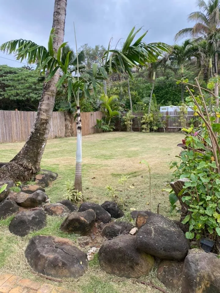 Local landscape design for year-round maintenance in Kapaa, HI by Tree Patrol Landscaping