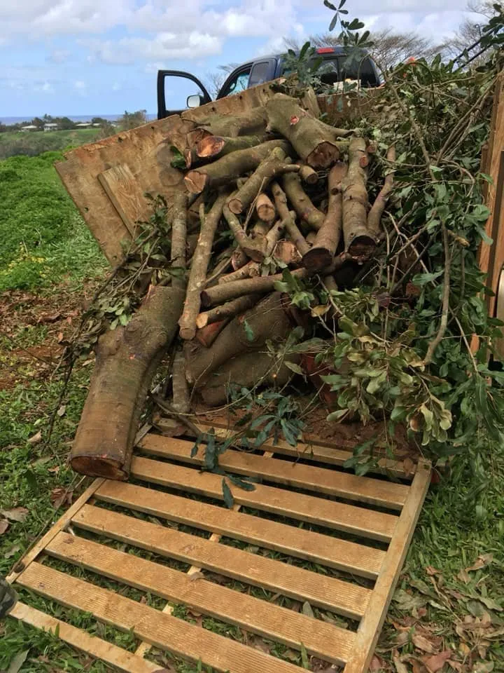 Custom landscape design in Kapaa, HI - Tree Patrol Landscaping