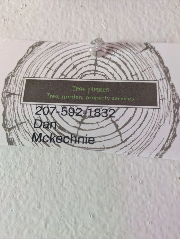 Affordable yard cleanup service in Waldoboro, ME - Tree Pirates