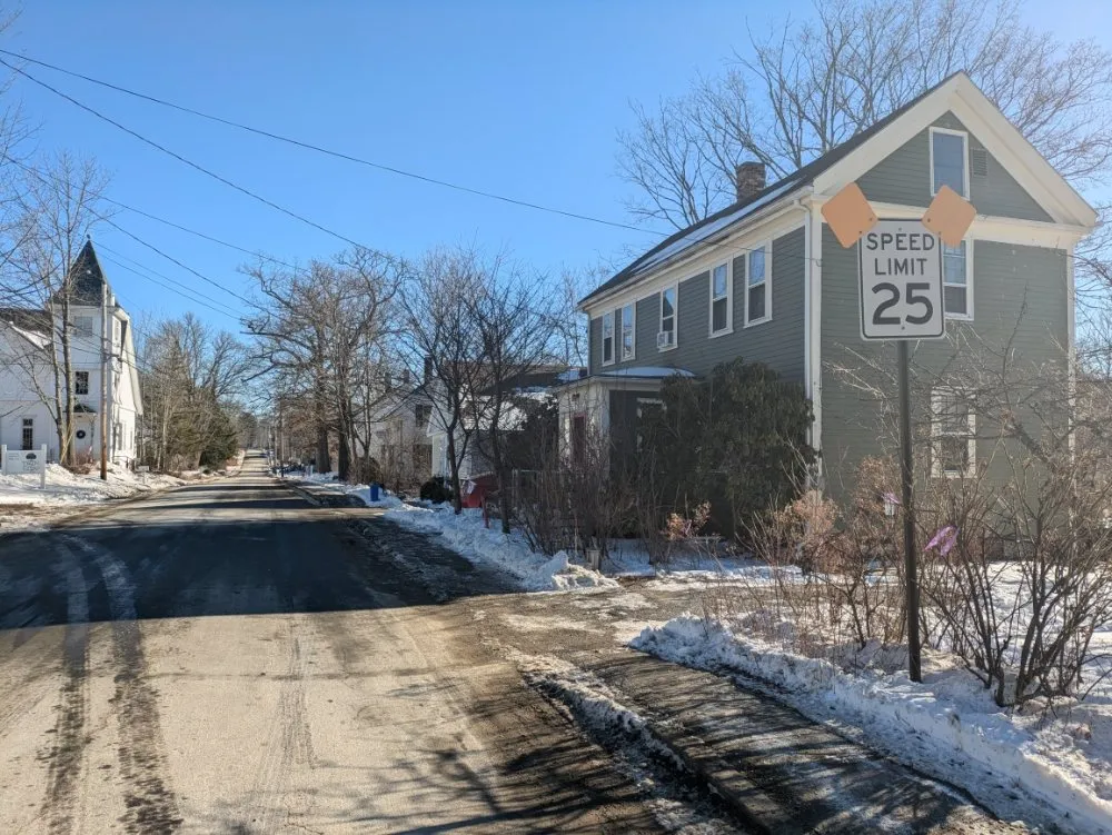 Local yard cleanup service in Waldoboro, ME by Tree Pirates