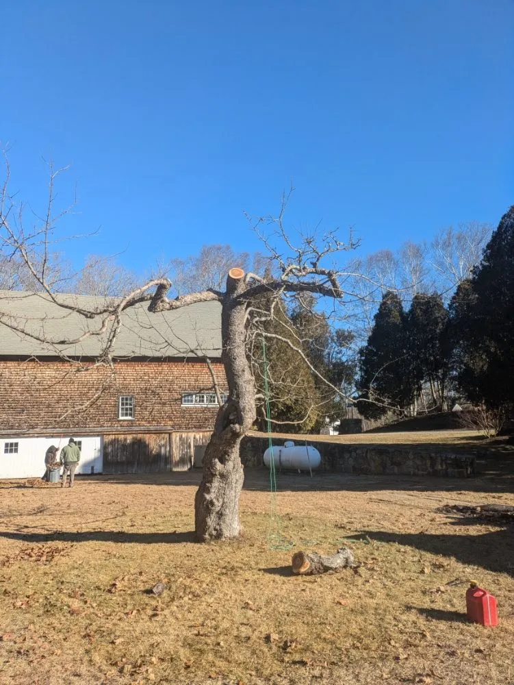 Expert garden landscaping in Waldoboro, ME - Tree Pirates