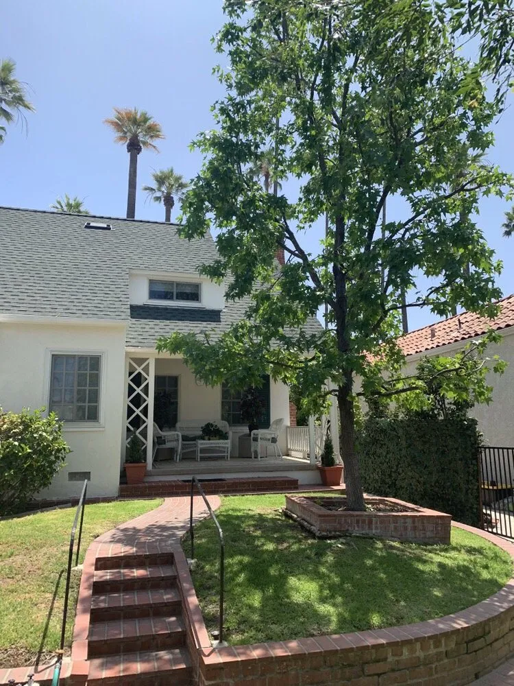 Expert yard cleanup service in Tujunga, CA by Tree Preservation