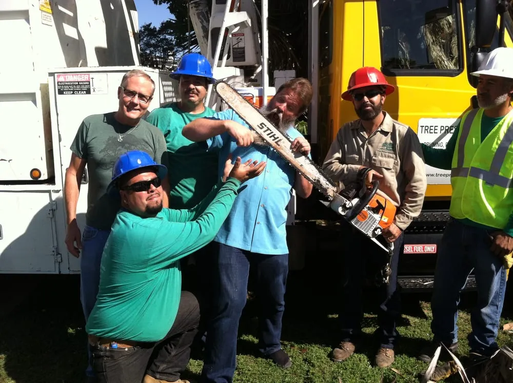 Expert landscape design experts serving Tujunga, CA - Tree Preservation