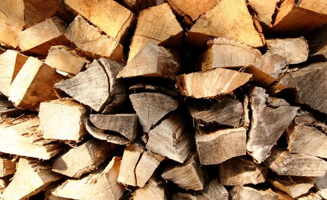 Reliable outdoor landscaping for beautiful yards in Payson, AZ by Tree Pro