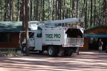 Custom outdoor landscaping in Payson, AZ by Tree Pro