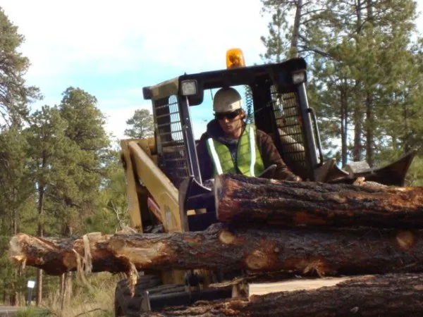 Top-rated yard maintenance in Payson, AZ by Tree Pro