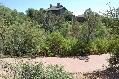 Custom yard cleanup service for beautiful yards across Payson, AZ - Tree Pro