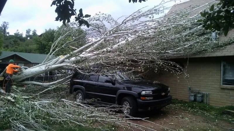 Custom landscaping services experts serving Payson, AZ - Tree Pro