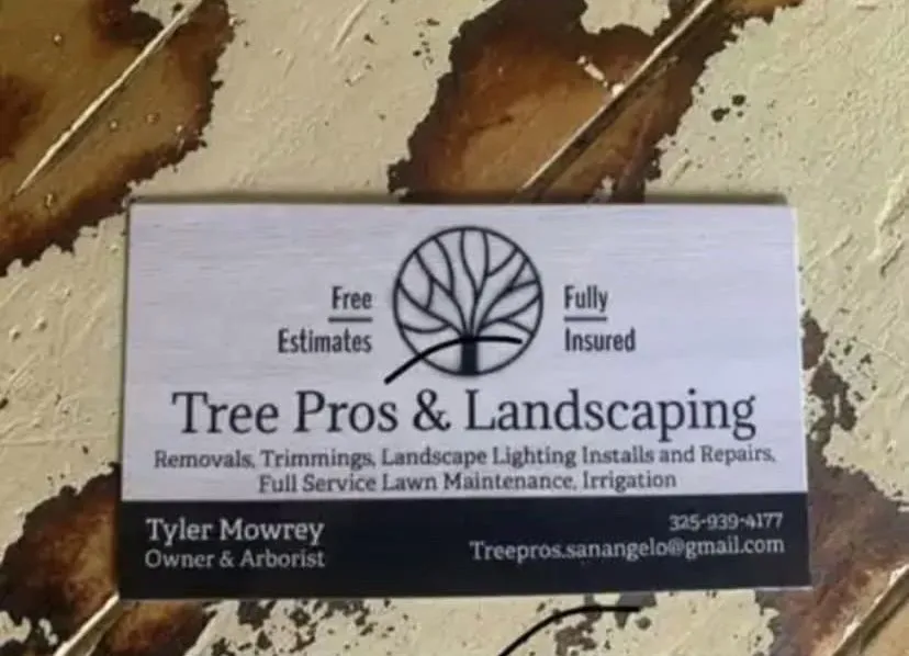 Custom outdoor landscaping in San Angelo, TX by Tree Pros & Landscaping