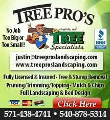 Custom residential landscaping for residential properties in Warrenton, VA by Tree Pros Lawn & Landscaping