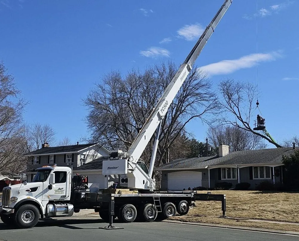 Top-rated outdoor landscaping for outdoor upgrades across Buffalo, MN - Tree Pros Tree Service and Landscaping