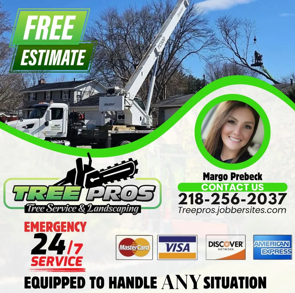 Top-rated yard cleanup service for beautiful yards in Buffalo, MN by Tree Pros Tree Service and Landscaping