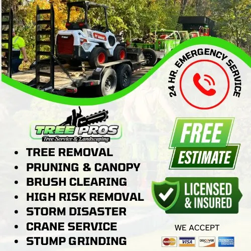 Custom residential landscaping for beautiful yards across Buffalo, MN - Tree Pros Tree Service and Landscaping