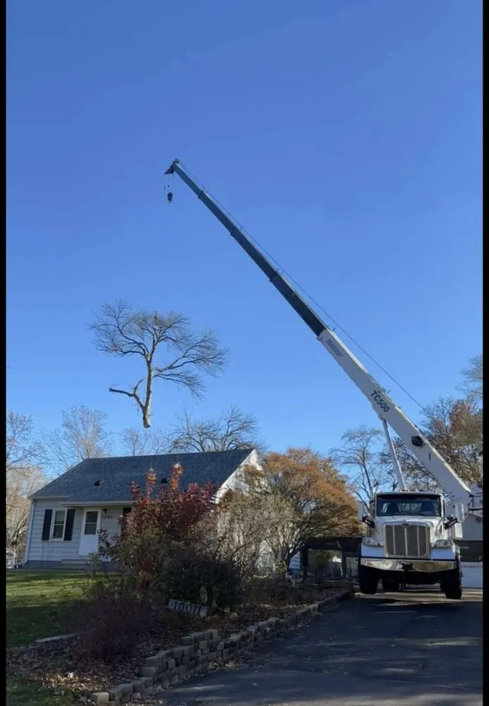 Professional garden landscaping with custom design across Motley, MN - Tree Pro’s Tree Service and Landscaping