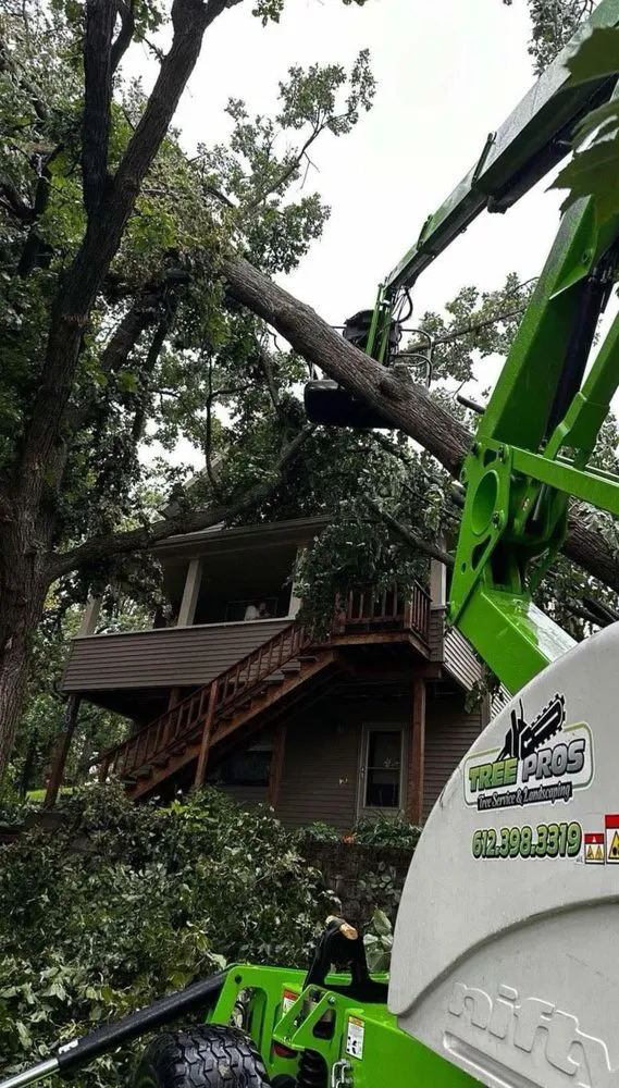 Top-rated yard maintenance in Motley, MN by Tree Pro’s Tree Service and Landscaping