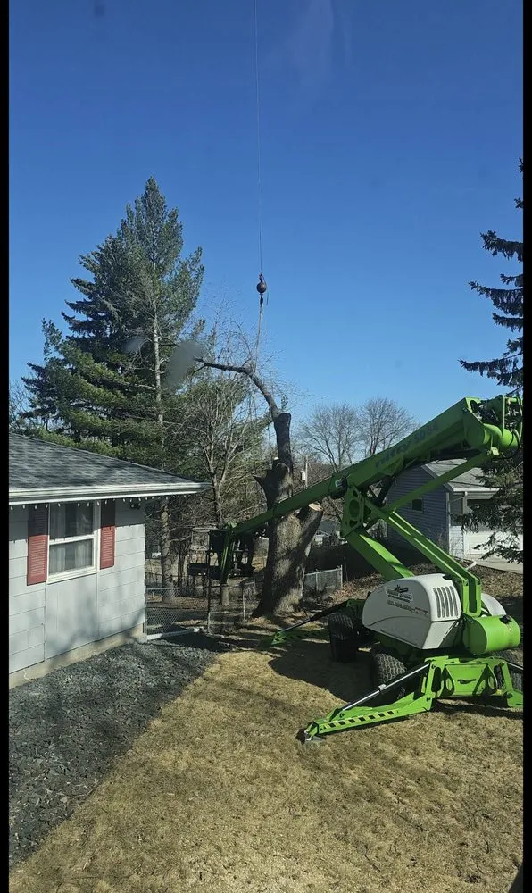 Reliable outdoor landscaping in Motley, MN by Tree Pro’s Tree Service and Landscaping