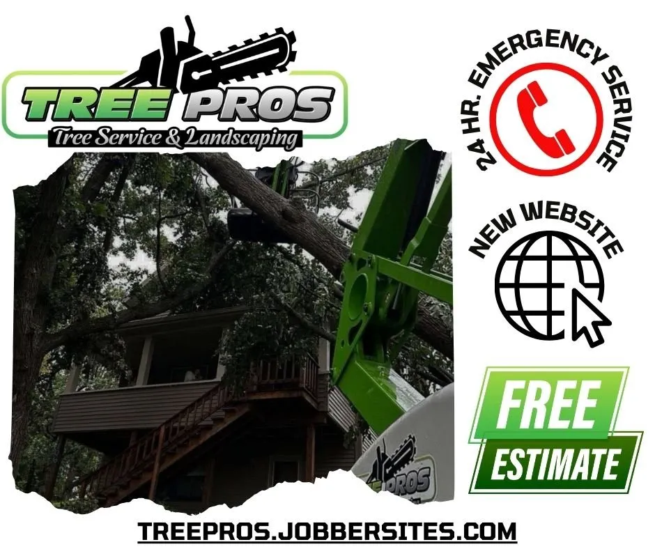 Professional yard maintenance for beautiful yards in Motley, MN by Tree Pro’s Tree Service and Landscaping