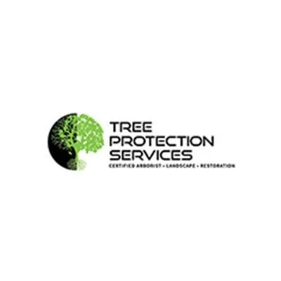 Professional residential landscaping for homes in Queen Creek, AZ by Tree Protection Services