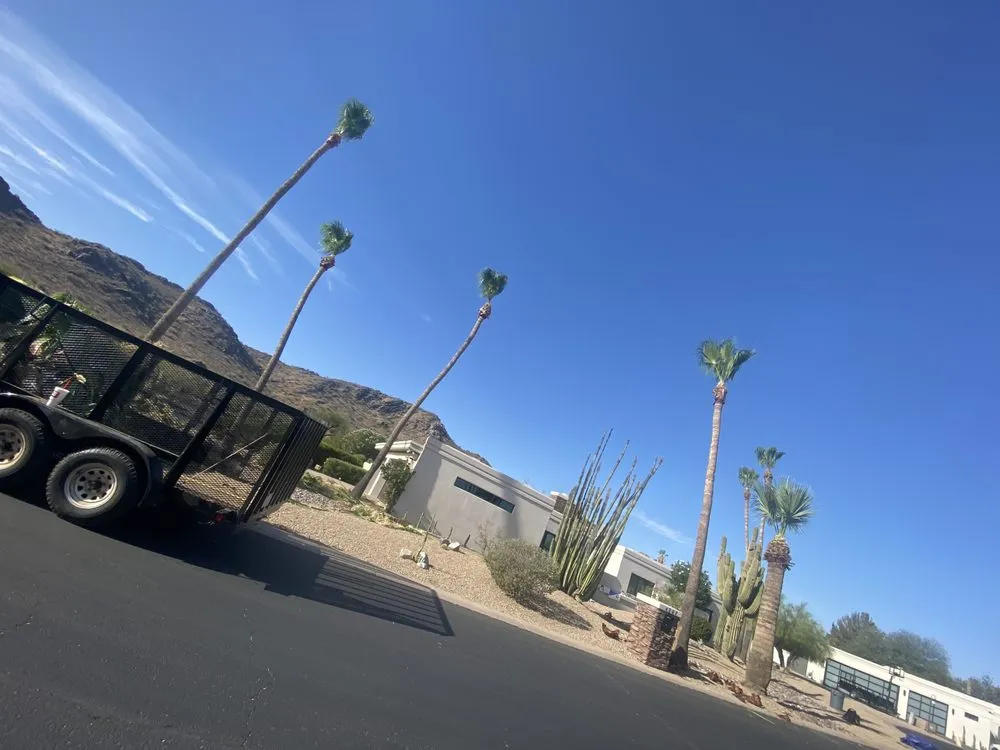 Expert lawn mowing service near you across Phoenix, AZ - Tree Pruning