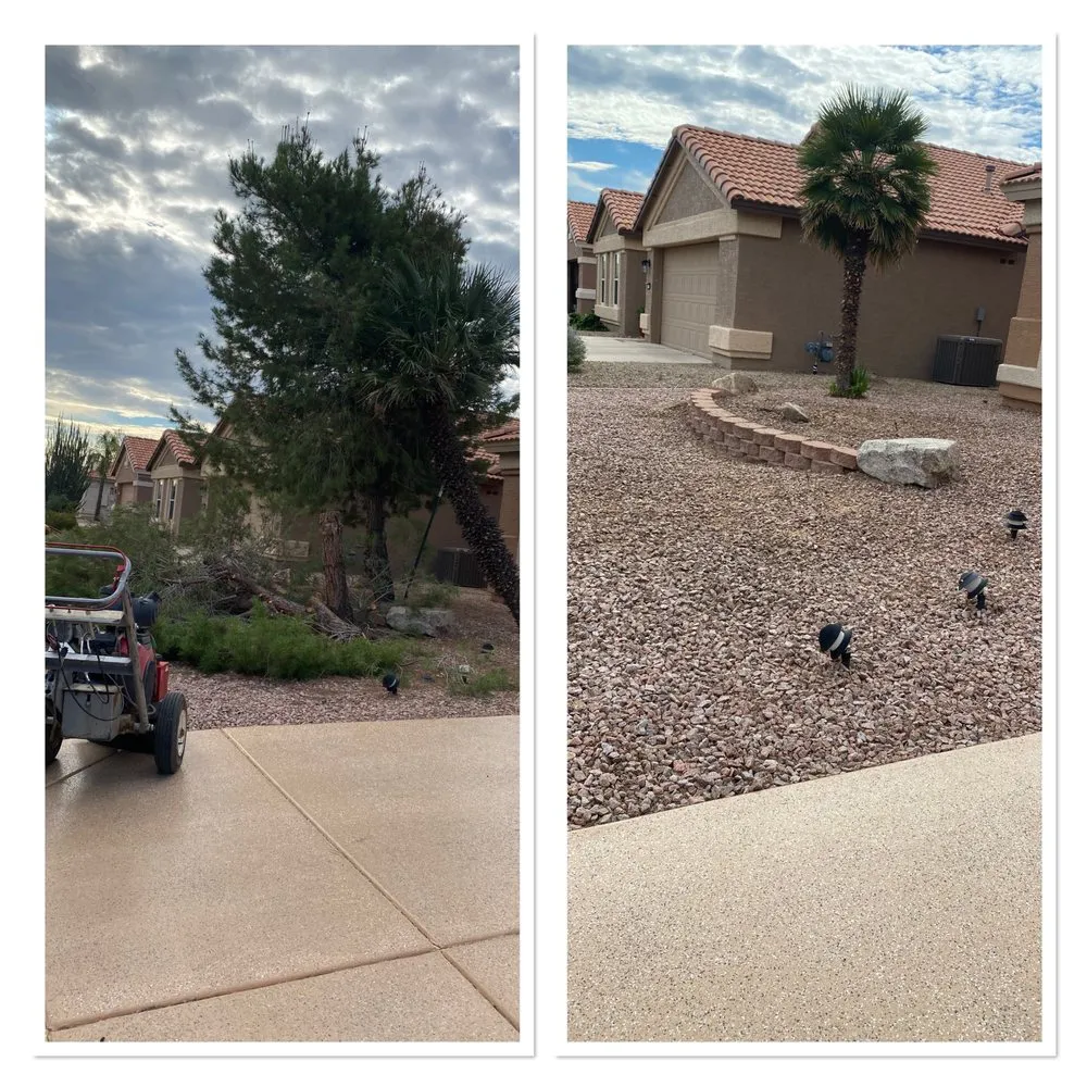 Local lawn mowing service in Phoenix, AZ by Tree Pruning