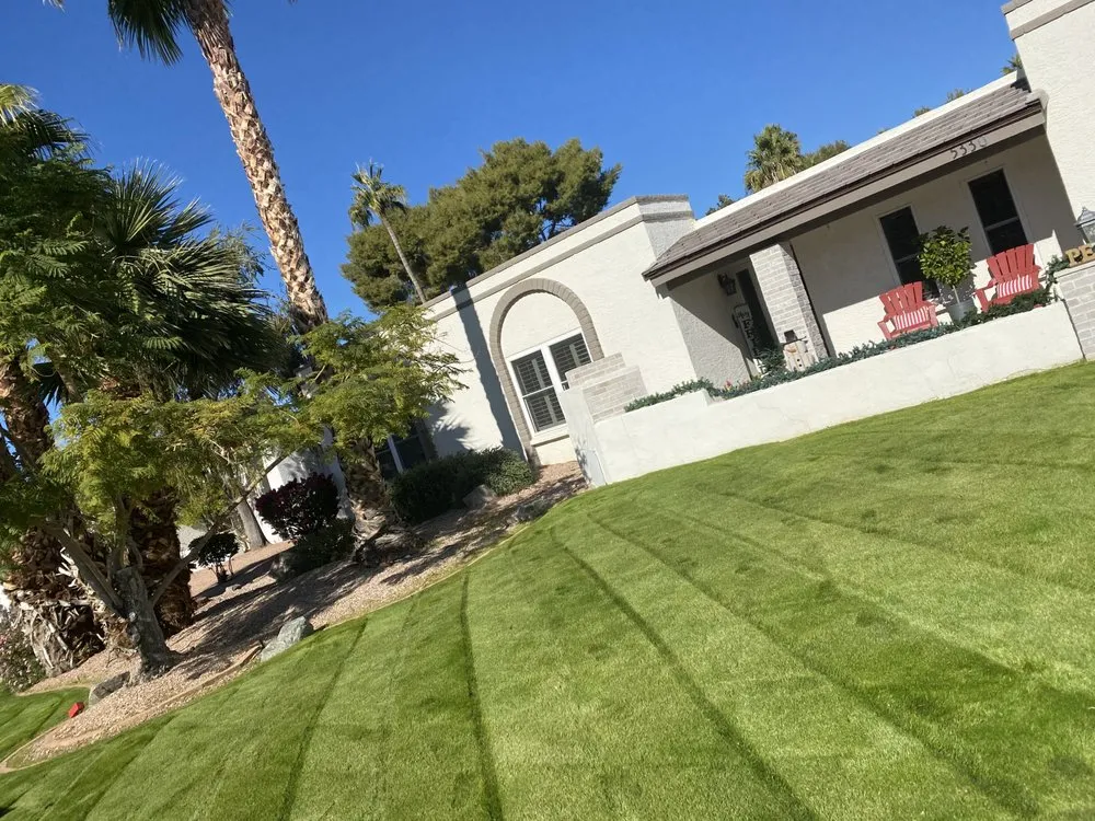 Top-rated landscape installation for homes in Phoenix, AZ by Tree Pruning