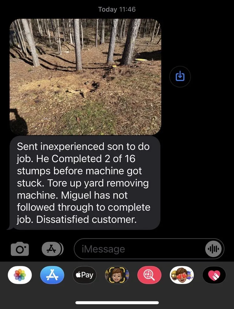 Affordable lawn care service for outdoor upgrades across Conyers, GA - Tree R Us