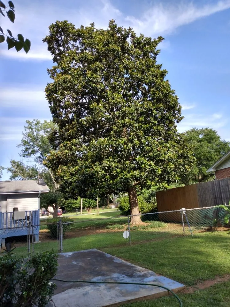 Top-rated garden landscaping experts serving Conyers, GA - Tree R Us
