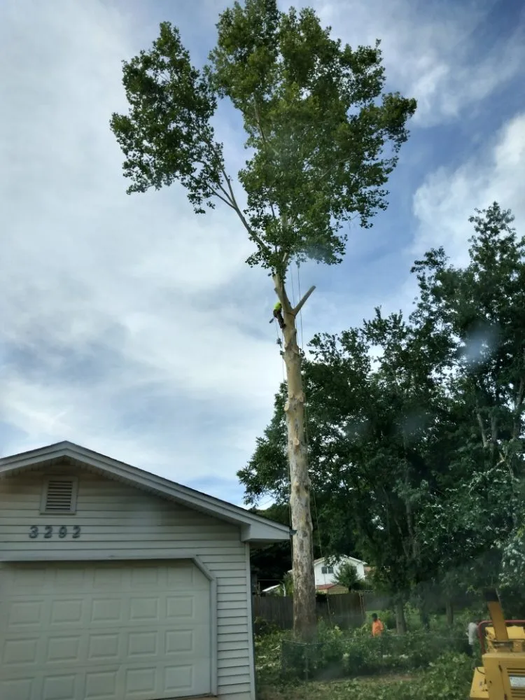 Custom residential landscaping in Conyers, GA - Tree R Us