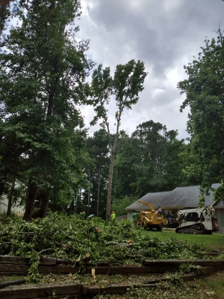 Top-rated lawn care service for residential properties in Conyers, GA by Tree R Us