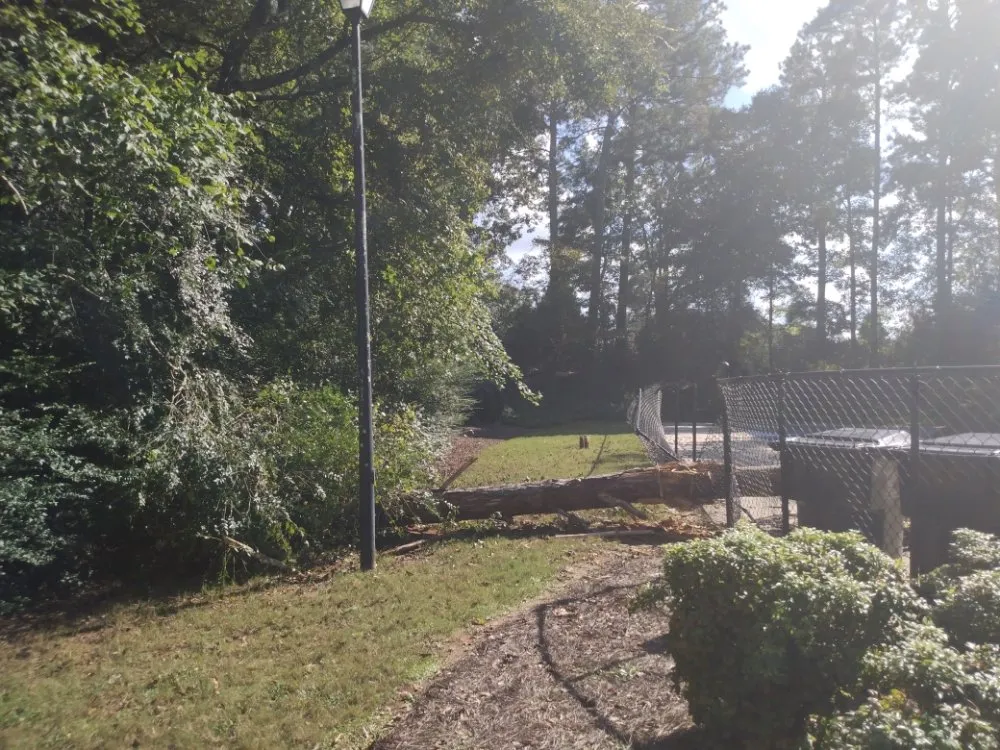 Top-rated yard maintenance with custom design across Conyers, GA - Tree R Us