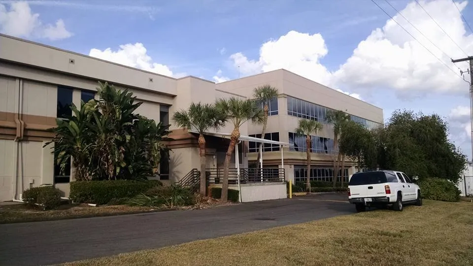 Custom yard cleanup service for year-round maintenance across Lakeland, FL - Tree Rehab