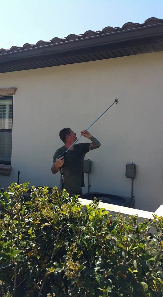 Affordable lawn care service experts serving Lakeland, FL - Tree Rehab