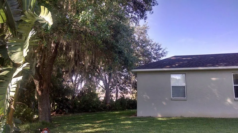 Local landscaping services near you across Lakeland, FL - Tree Rehab