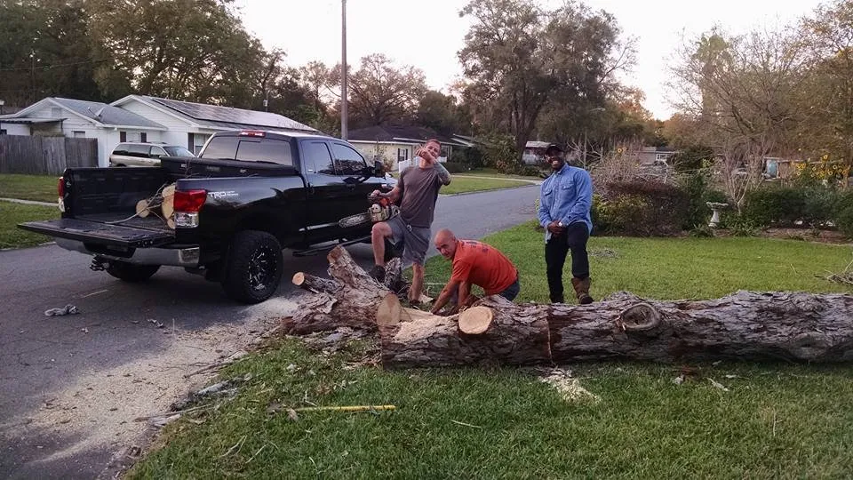 Custom landscape installation for beautiful yards in Lakeland, FL by Tree Rehab