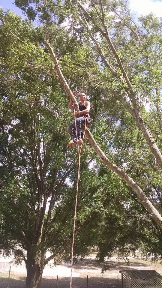 Custom landscape installation for year-round maintenance in Lakeland, FL by Tree Rehab